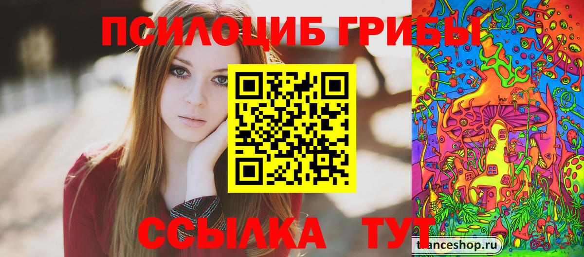 Псилоцибиновые грибы MAGIC MUSHROOMS  Вход с VPN  Кисловодск 