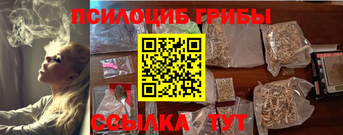 Псилоцибиновые грибы GOLDEN TEACHER Кисловодск